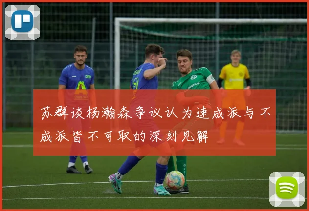 苏群谈杨瀚森争议认为速成派与不成派皆不可取的深刻见解