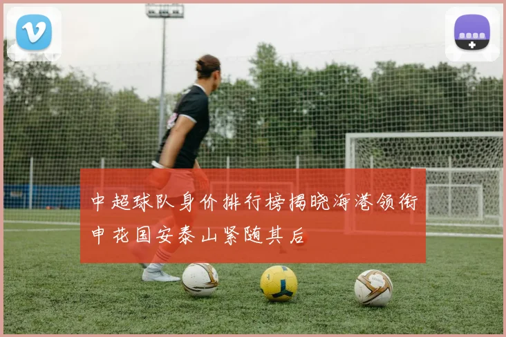 中超球队身价排行榜揭晓海港领衔申花国安泰山紧随其后