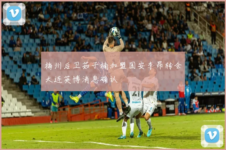 梅州后卫茹子楠加盟国安李昂转会大连英博消息确认