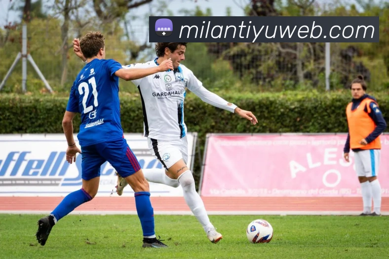 米兰体育全站App